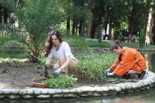  უნივერსიტეტის სტუდენტებმა,ბოტანიკურ ბაღში ტბაში არსებული კუნძულები განაახლეს