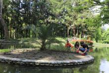  უნივერსიტეტის სტუდენტებმა,ბოტანიკურ ბაღში ტბაში არსებული კუნძულები განაახლეს