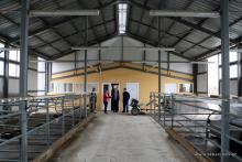  ევროპული ბიზნეს ასოციაციის გენერალური დირექტორის ვიზიტი სენაკში"