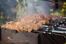  სამეცნიერო პიკნიკი 2019