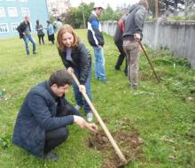 ევროპის ხეივნის გახსნა უნივერსიტეტში